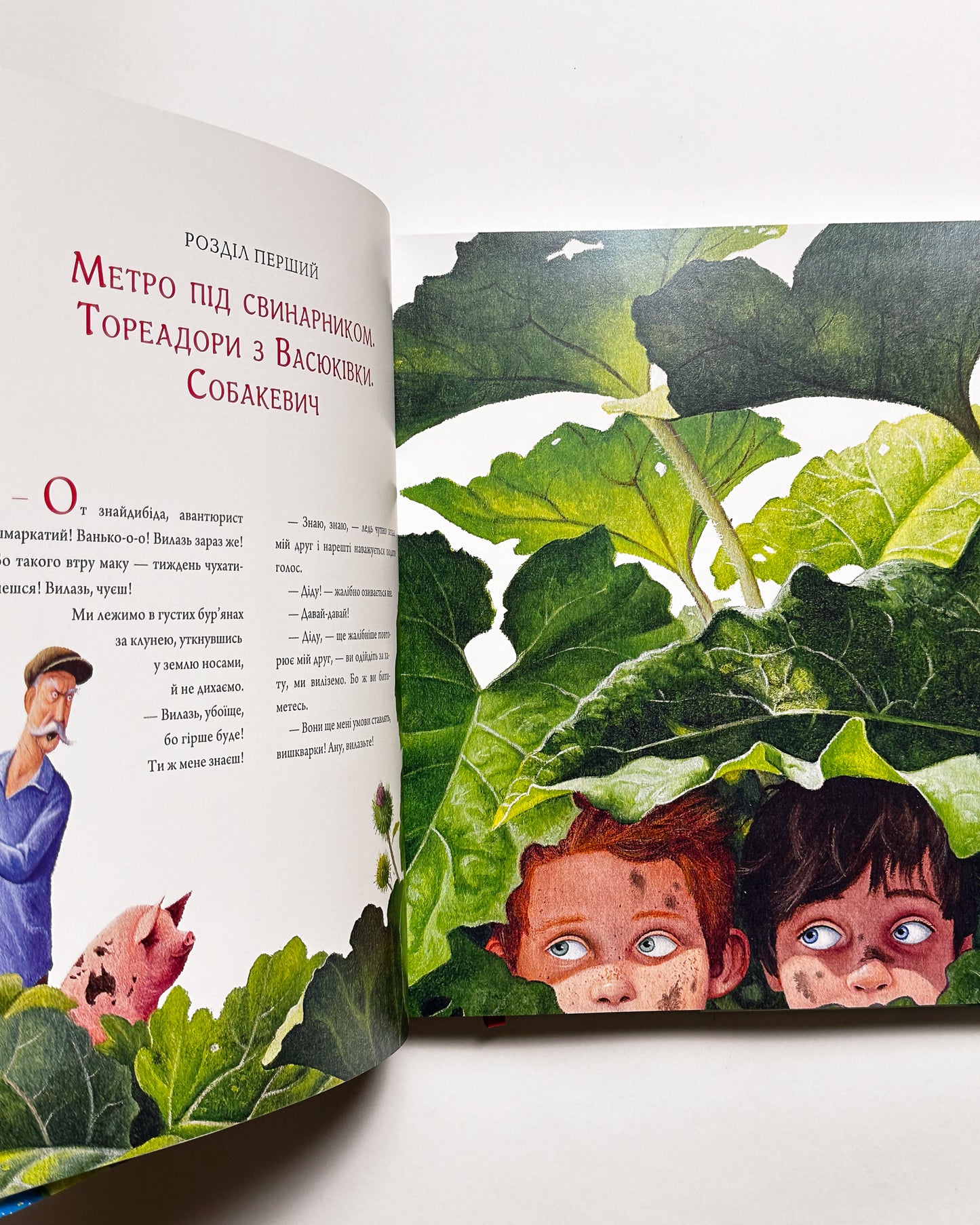 Тореадори з Васюківки. Велике ілюстроване видання - Всеволод Нестайко