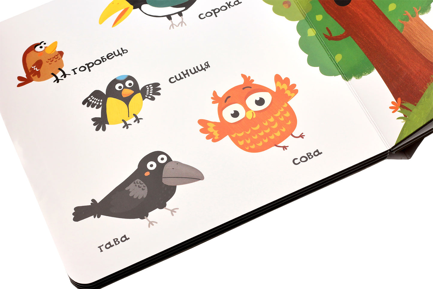 Сторінки-цікавинки. Тварини в лісі