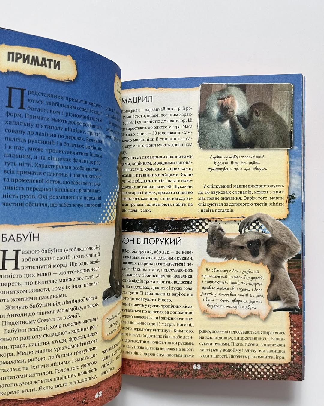 Усе про все