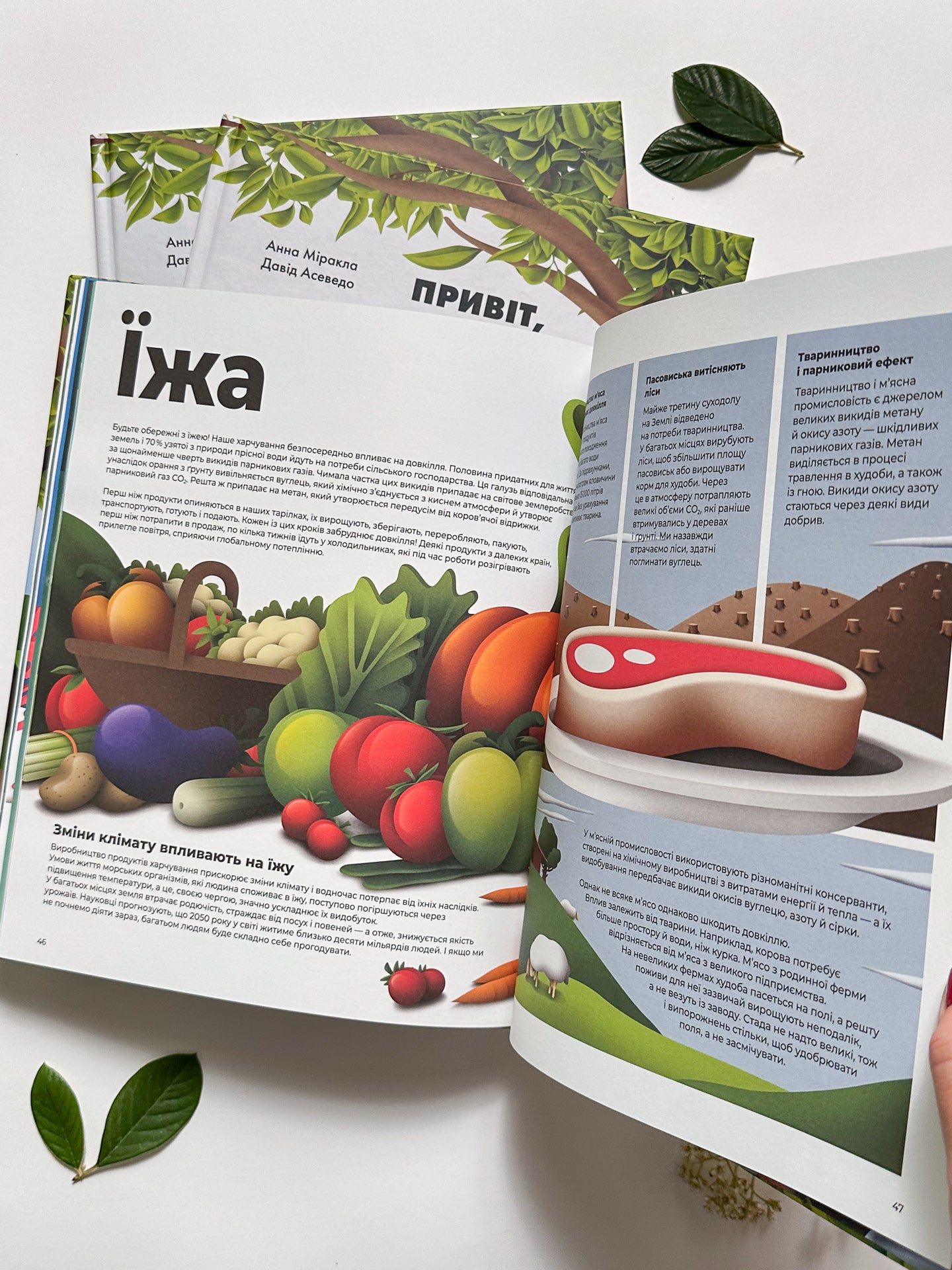 Привіт, новий світе! Ідеї для захисту планети - Анна Міракла, Давід Асеведо