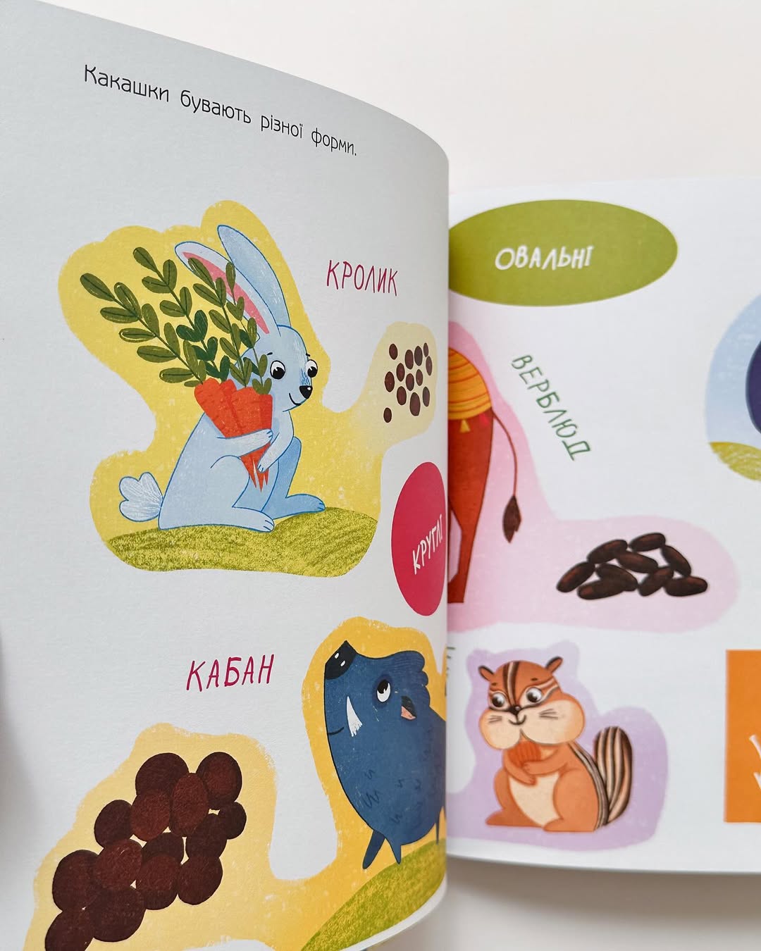Чарівна книжка про какашки